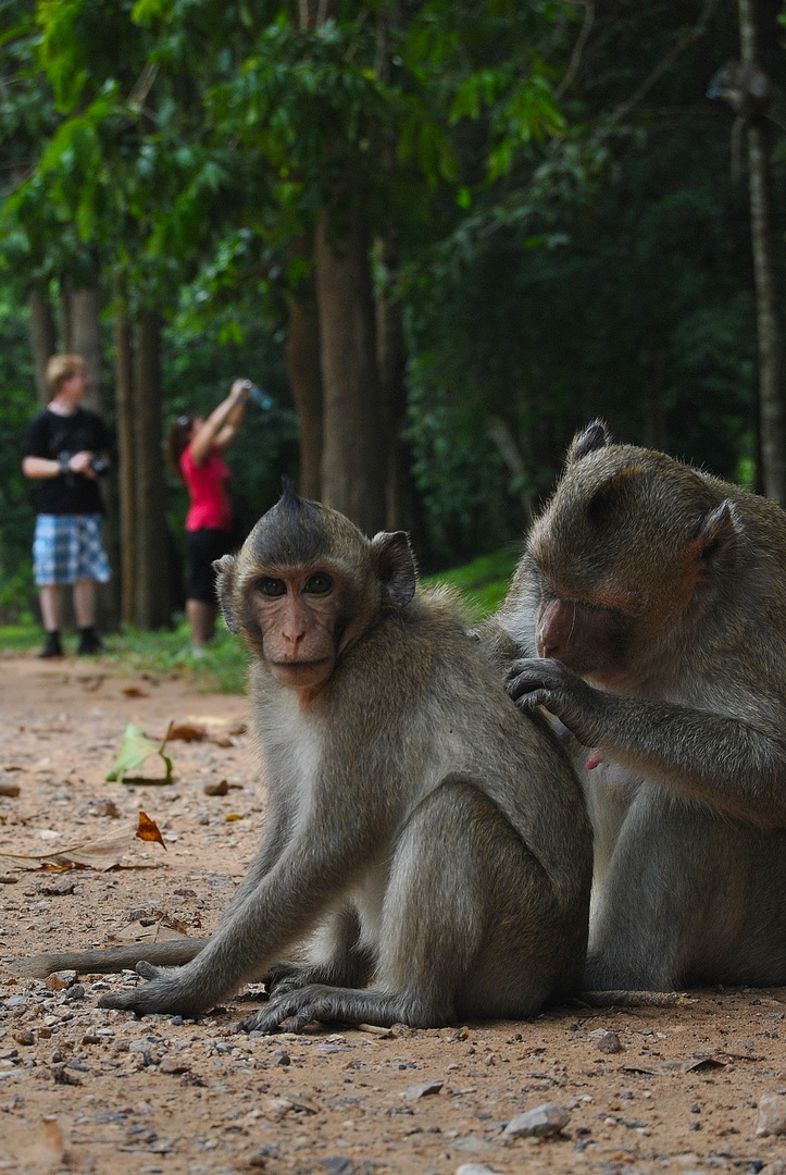 cambigia_thailandia2011_011-jpg