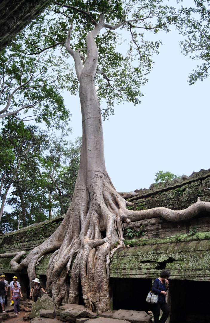 cambigia_thailandia2011_148-jpg