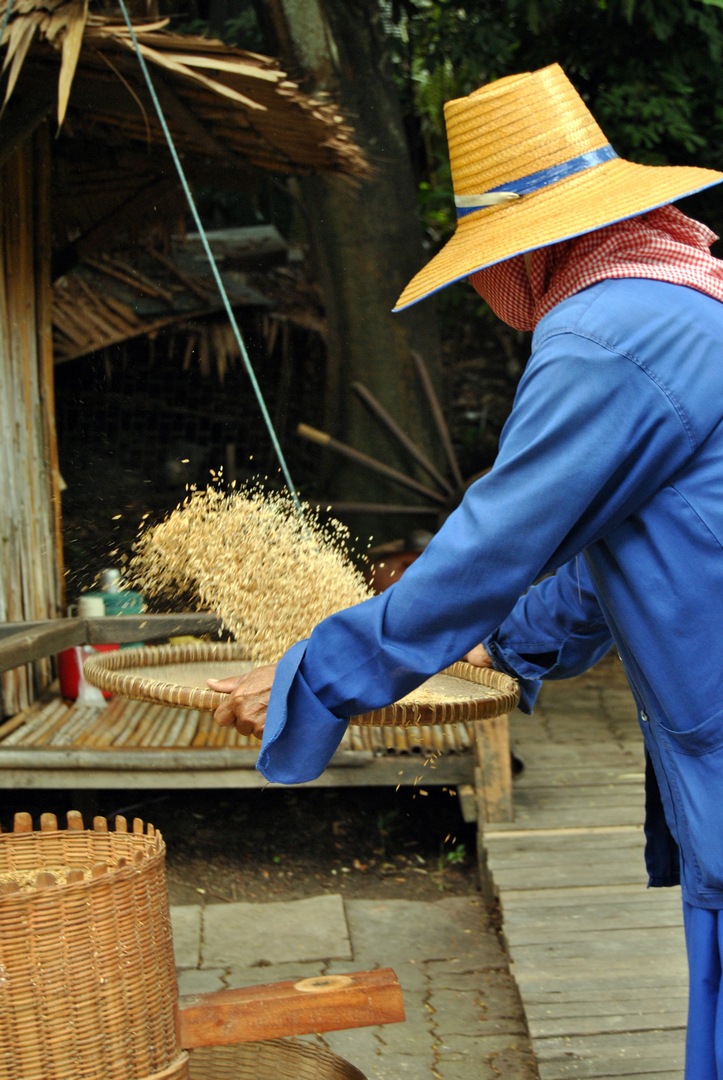 cambigia_thailandia2011_251-jpg