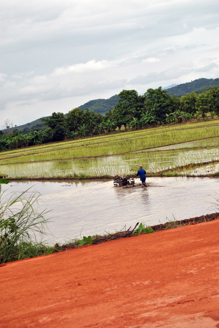 cambigia_thailandia2011_296-jpg