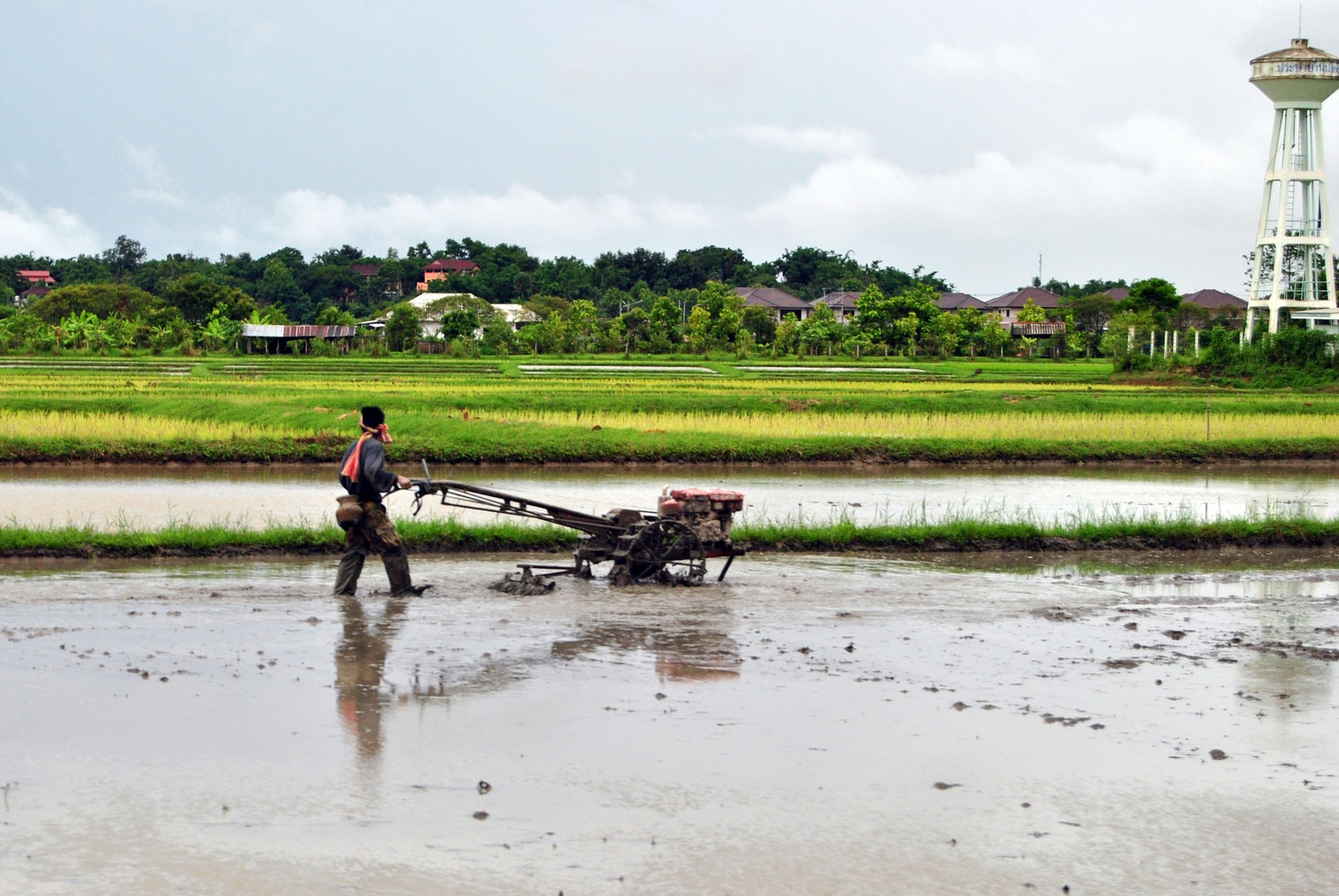 cambigia_thailandia2011_299-jpg